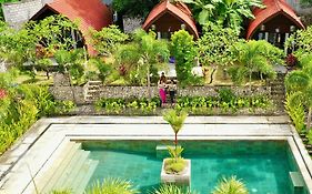 Jungle Paradise